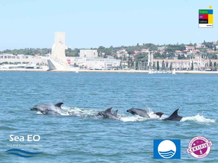 Lisbon: Dolphin Watching with Marine Biologist - Fort of São Lourenço do Bugio from the water