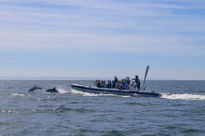 Lisbon: Dolphin Watching with Marine Biologist - Small Group - Fort of São Lourenço do Bugio from the water