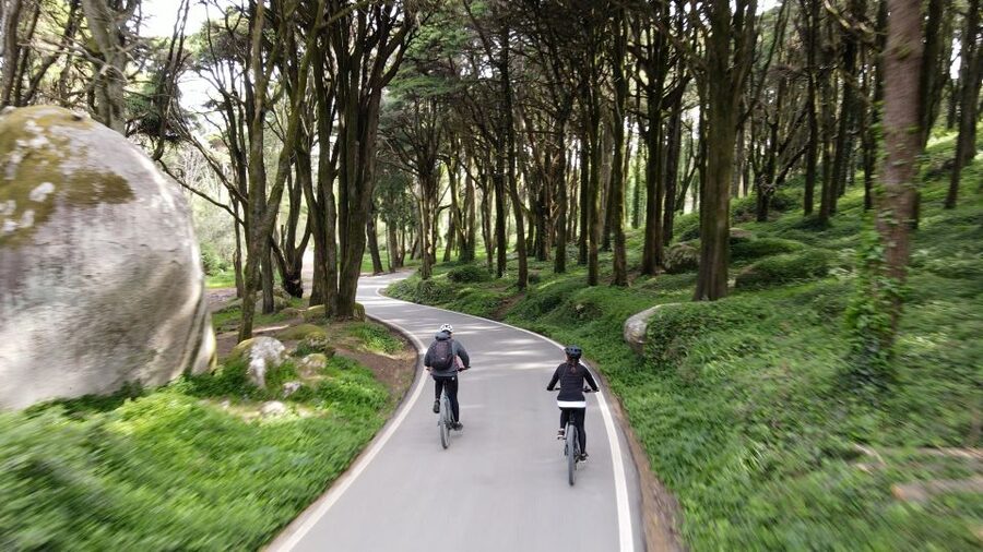 Lisbon: E-bike Trip from the Sintra Mountains to Cascais Sea - Through sheep country and Sintra Forest