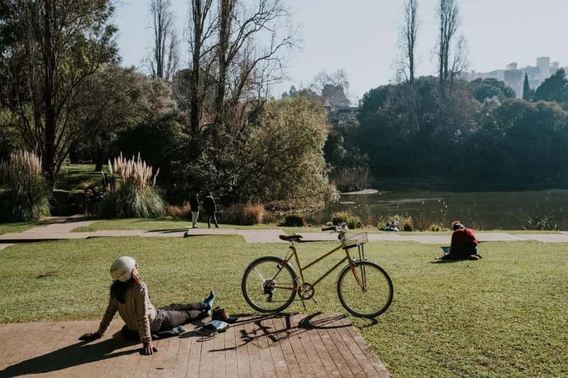 Lisbon: Gulbenkian Collection+Centro de Arte Moderna Ticket - Audio guide, tickets, and practical details