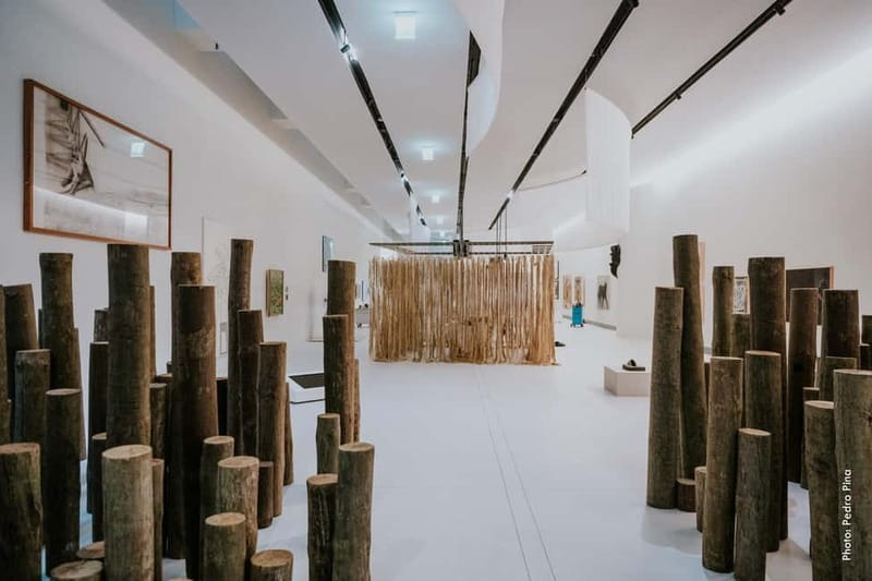 Lisbon: Gulbenkian Collection+Centro de Arte Moderna Ticket - How long should you allow?