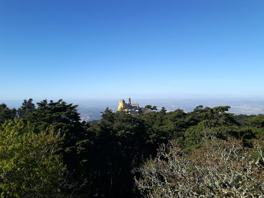 Lisbon: Half-Day Sintra Tour with Pena Palace and Regaleira - Who should book this Sintra tour?