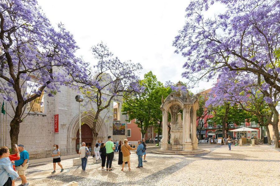 Lisbon: History, Stories and Lifestyle Walking Tour - The tram ride toward the old neighborhoods