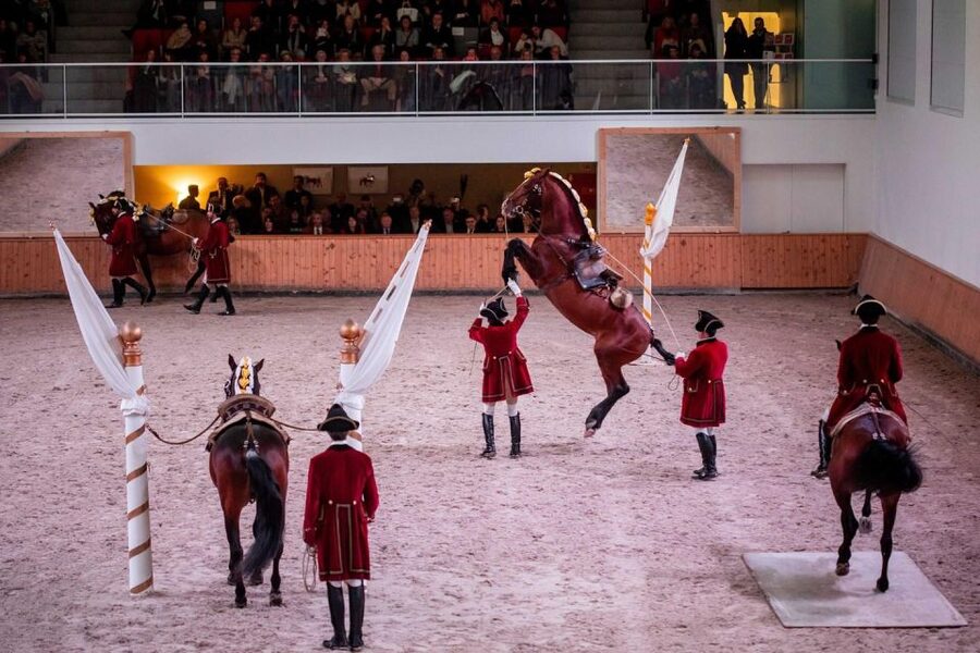 Lisbon: Morning of Equestrian Art with Lusitano Horses - Key points before you go