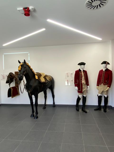 Lisbon: Morning of Equestrian Art with Lusitano Horses - Who will enjoy this morning most?