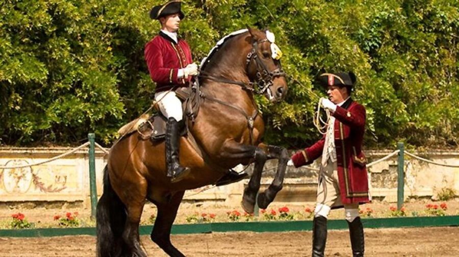 Lisbon: Morning of Equestrian Art with Lusitano Horses - Why this Lisbon horse experience is different