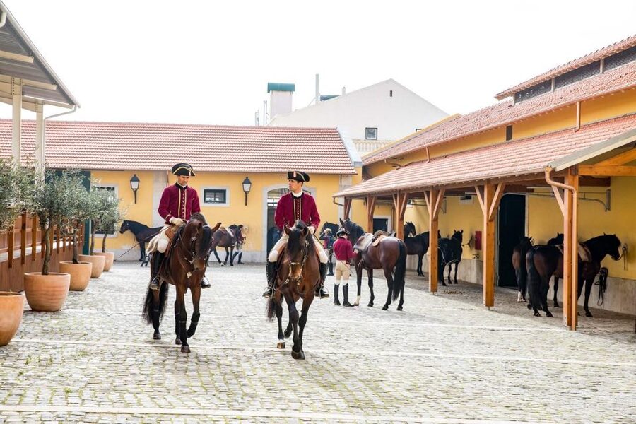 Lisbon: Morning of Equestrian Art with Lusitano Horses - From daily exercises to the gala show