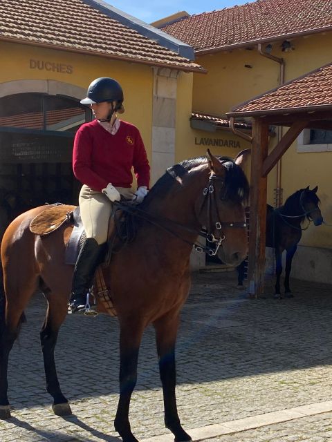 Lisbon: Morning of Equestrian Art with Lusitano Horses - The ticket detail you must get right
