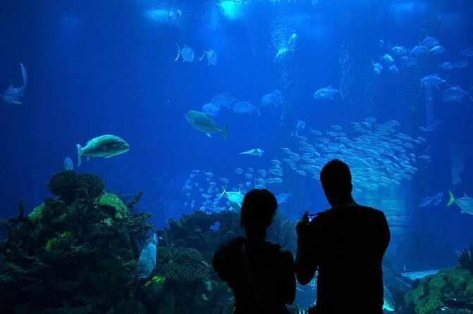 Lisbon Oceanario: Aquarium Entrance Ticket - Four ocean habitats on two levels