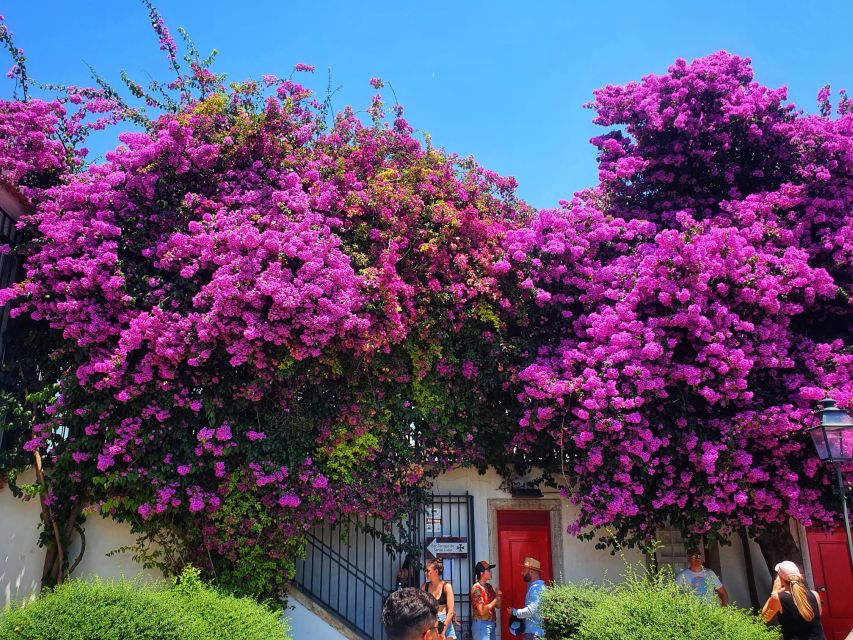 Lisbon: Old Town TukTuk Tour and Scenic Viewpoints in Alfama - Commerce Square and the return to central Lisbon