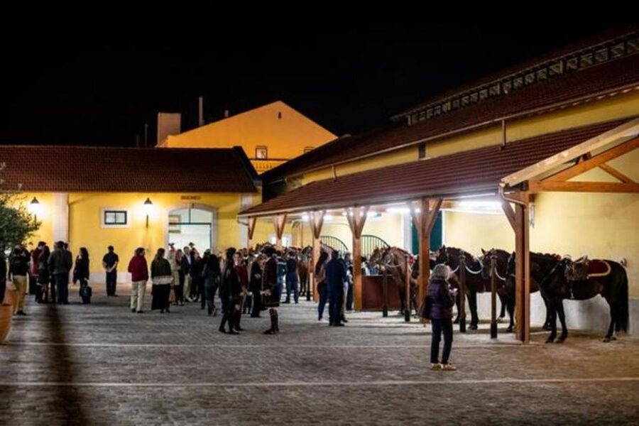 Lisbon: Portuguese Riding School Trainig with Lusitano Horse - Should you book the Portuguese Riding School training?
