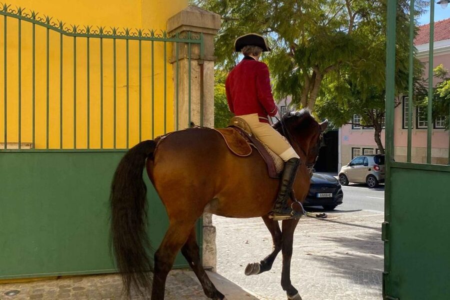 Lisbon: Portuguese Riding School Trainig with Lusitano Horse - Seeing the Lusitano horses at work