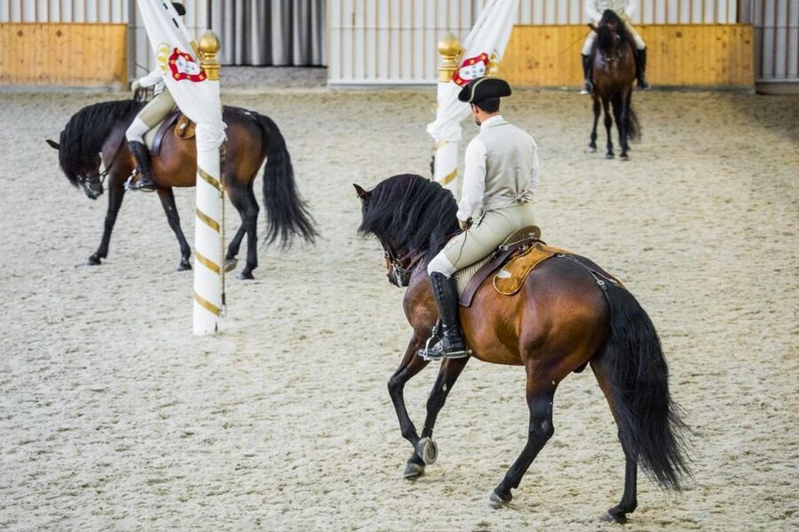 Lisbon: Portuguese Riding School Trainig with Lusitano Horse - Getting the ticket right