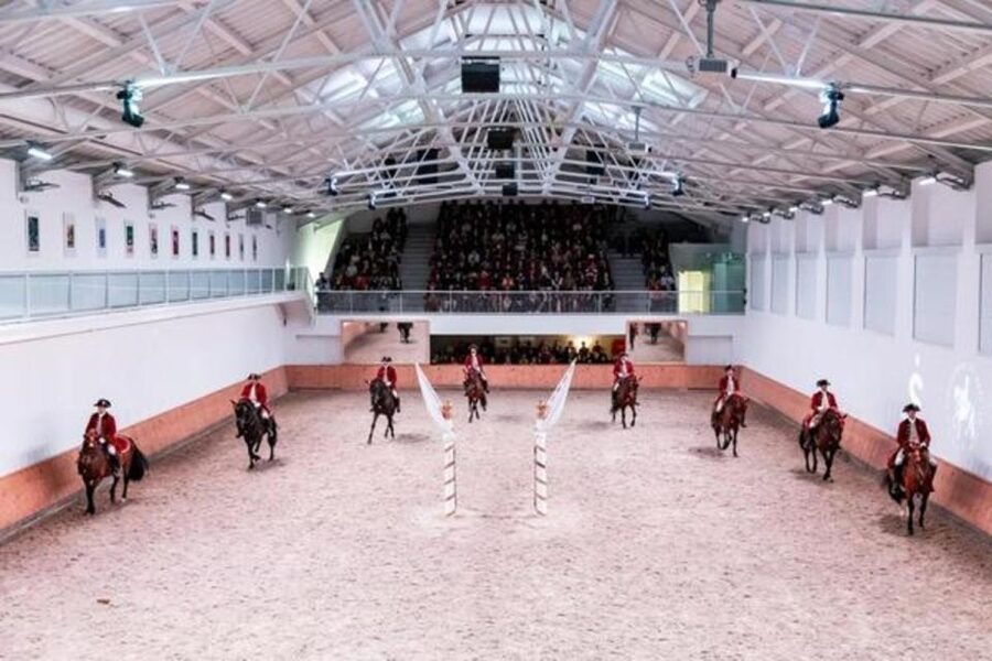 Lisbon: Portuguese Riding School Trainig with Lusitano Horse - Timing your visit in Lisbon