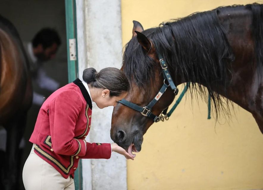 Lisbon: Portuguese Riding School Trainig with Lusitano Horse - Who will enjoy this experience most?
