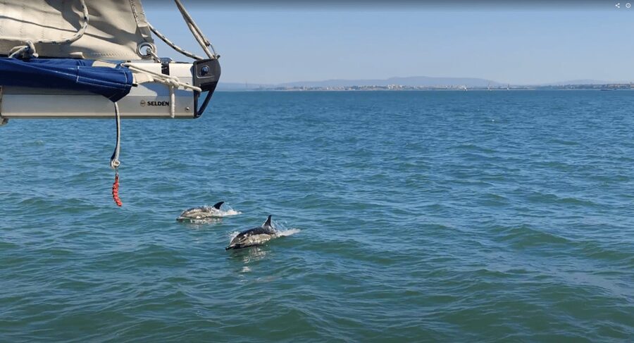 Lisbon: Private Boutique Boat Tour – Sail in Style - Who will enjoy this private Lisbon cruise?