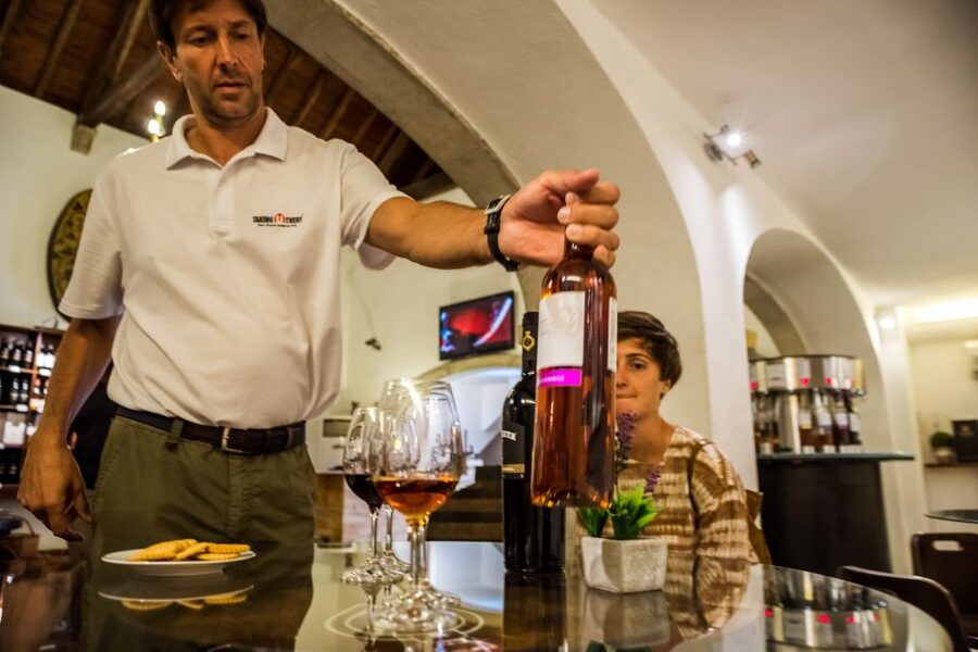 Lisbon Private Setúbal Region Wine Tasting Tour - Key points to know before booking