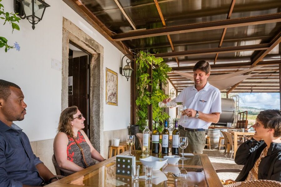 Lisbon Private Setúbal Region Wine Tasting Tour - Why Setúbal makes a good wine day from Lisbon