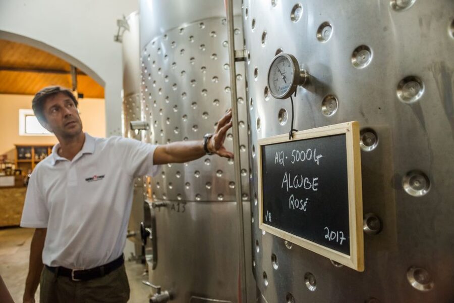 Lisbon Private Setúbal Region Wine Tasting Tour - Small wineries show the agricultural side