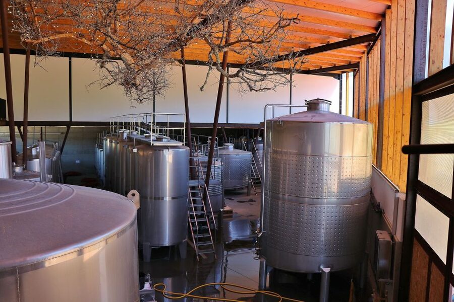 Lisbon Private Setúbal Region Wine Tasting Tour - The Setúbal Mother House puts many producers in one place