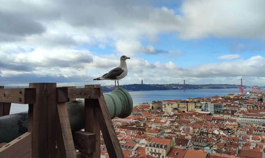 Lisbon: Saint George's Castle Entry Ticket and Guided Visit - Key points before you book