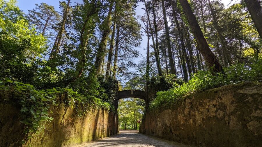 Lisbon: Sintra, Pena, Regaleira, Cabo da Roca & Cascais - Pena Palace and the royal hilltop