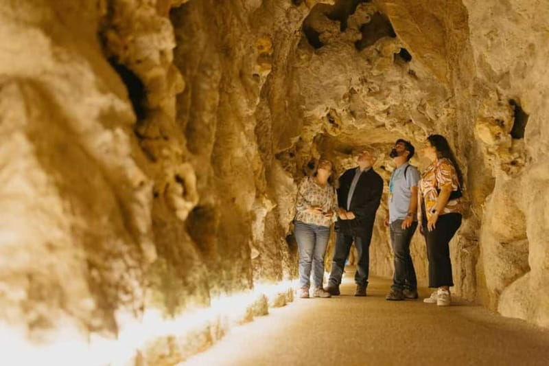 Lisbon: Sintra Tour with Optional Regaleira & Pena Gardens - Pena Palace Gardens and the limits of the ticket