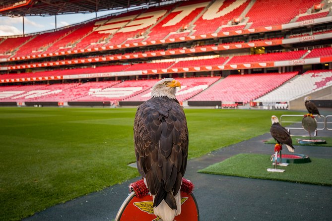 Lisbon SL Benfica Stadium & Museum Tour with Scarf - Timing, closures, and practical limits