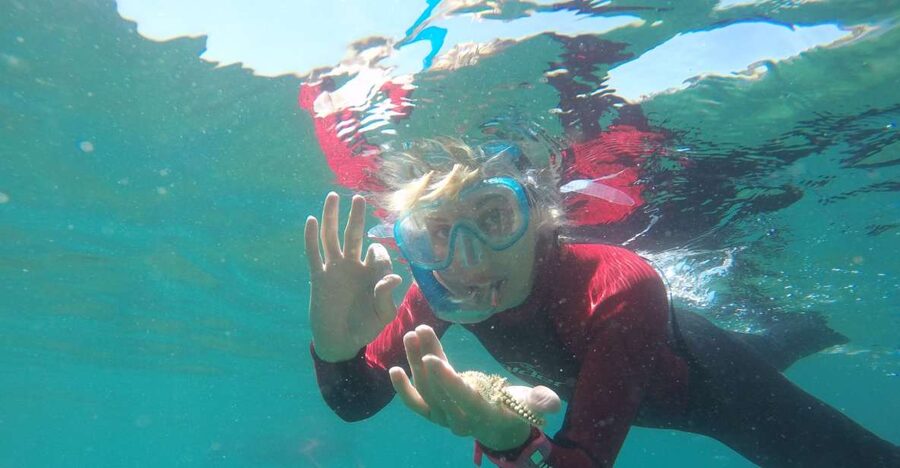 Lisbon: Snorkelling in Sesimbra/Arrábida Natural Park - From the meeting point to the boat