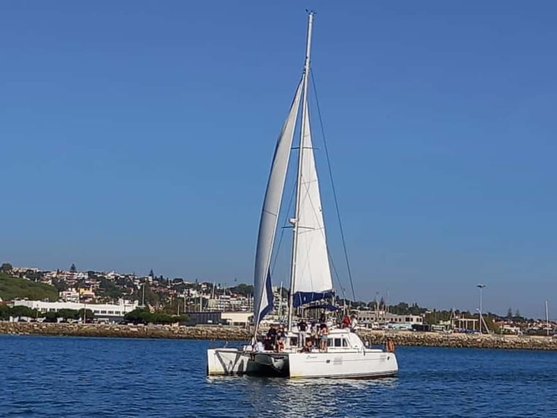 Lisbon: Sunset Catamaran Cruise with Drinks - MAAT and the modern Belém waterfront