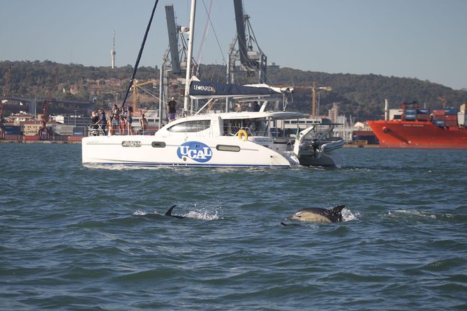 Lisbon: Sunset Cruise With Drinks on Spacious Yacht - Sunset conditions, jackets, and life jackets