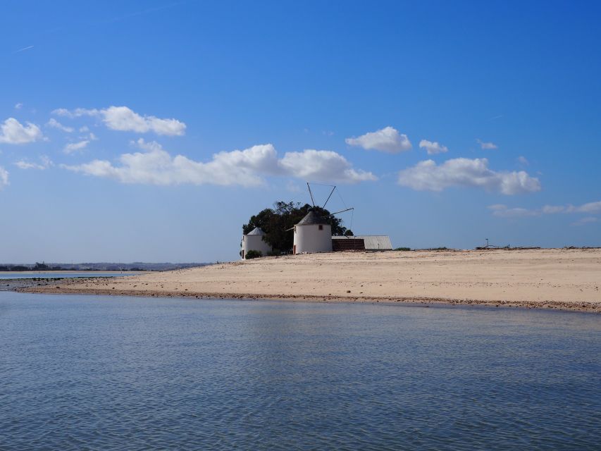 Lisbon: Tagus Estuary Nature Reserve Birdwatching Boat Tour - Why the Tagus Estuary feels far from Lisbon