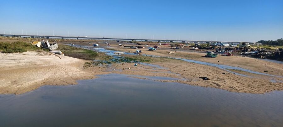 Lisbon: Tagus Estuary Nature Reserve Birdwatching Boat Tour - Mouchao da Povoa and the way back