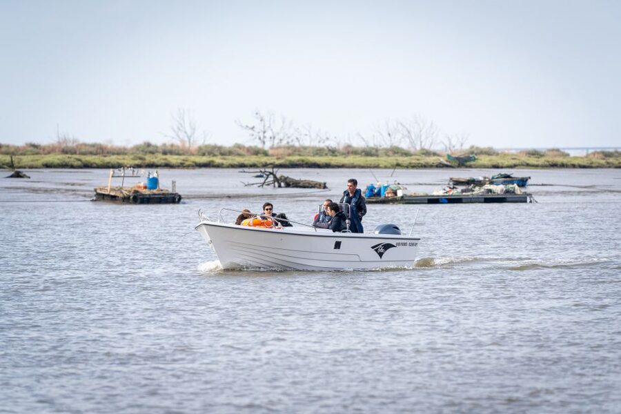 Lisbon: Tagus Estuary Nature Reserve Birdwatching Boat Tour - Who will enjoy this boat trip most?