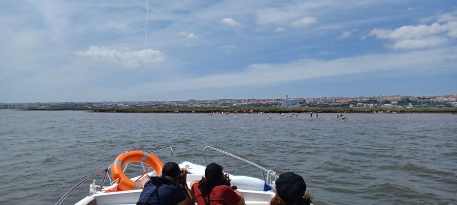 Lisbon: Tagus Estuary Nature Reserve Birdwatching Boat Tour - Meeting Carlos at Parque das Nações