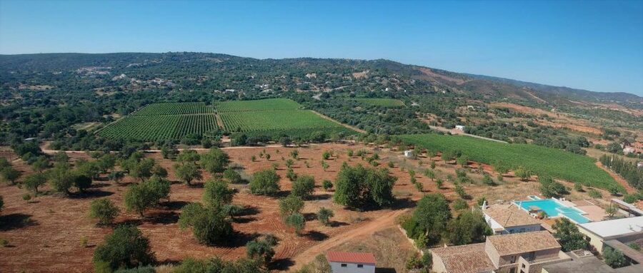Loulé: Quinta da Tôr Winery Guided Tour and Wine Tasting - Is $21 good value?