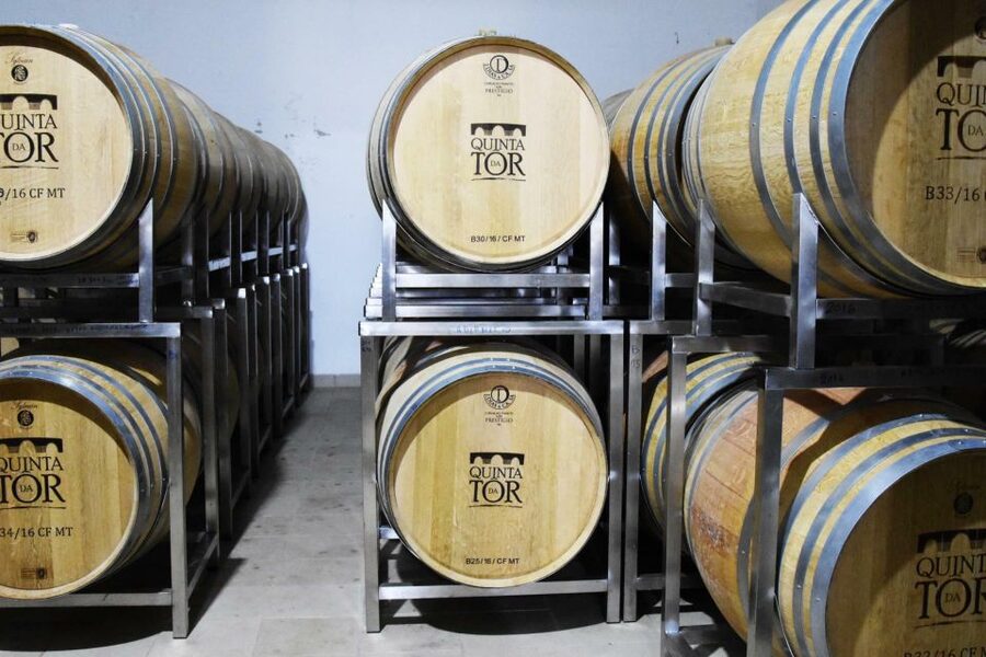 Loulé: Quinta da Tôr Winery Guided Tour and Wine Tasting - Who will enjoy Quinta da Tôr most?