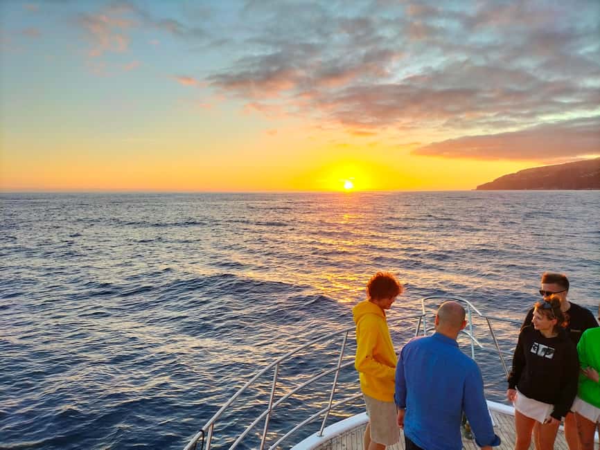 Madeeira: Sunset dinner cruise - Funchal Bay after dark
