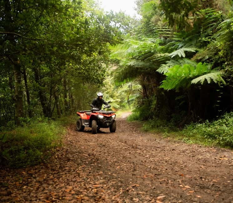Madeira: Aventura Off-Road de ATV ou Quad - Adrenalina - Key points to know before you book