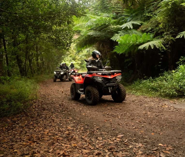 Madeira: Aventura Off-Road de ATV ou Quad - Adrenalina - Casa das Funduras and the first mountain tracks