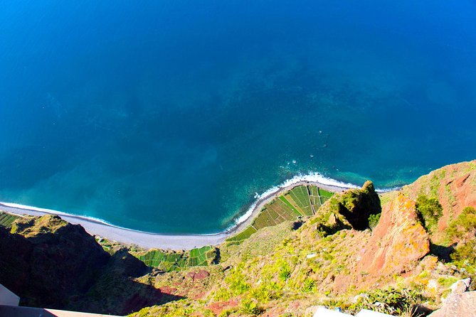 Madeira Best of the West Day Tour - The Laurissilva forest completes the inland return