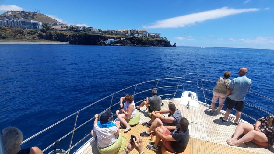 Madeira: Boat Trip with Lunch, Drinks, and Hotel Transfer - Practical tips for a smoother day
