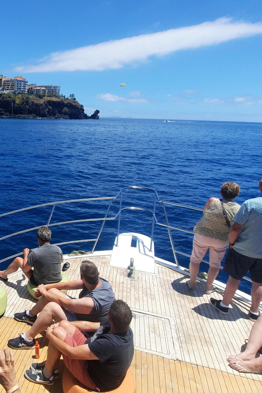 Madeira: Boat Trip with Lunch, Drinks, and Hotel Transfer - Wildlife watching along the southern coast