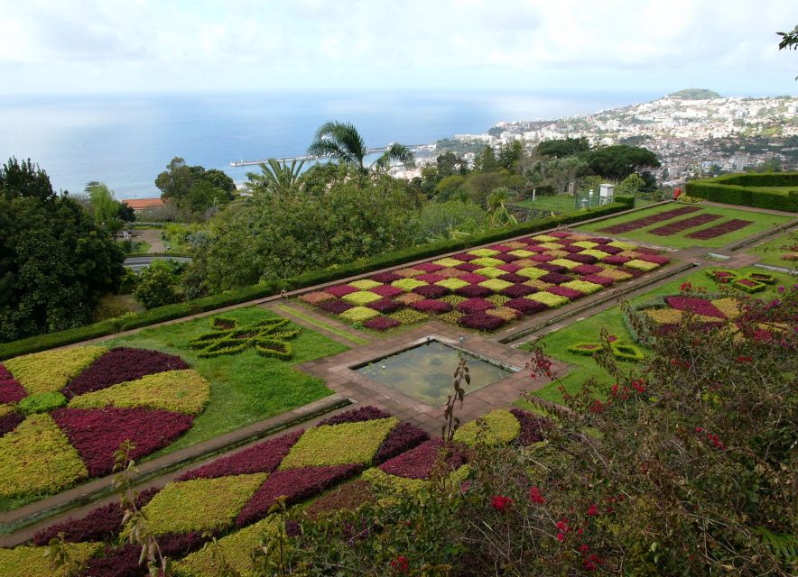 Madeira: Botanical Garden in a Tuk-Tuk Tour - The 20-Minute Ride Up the Hill