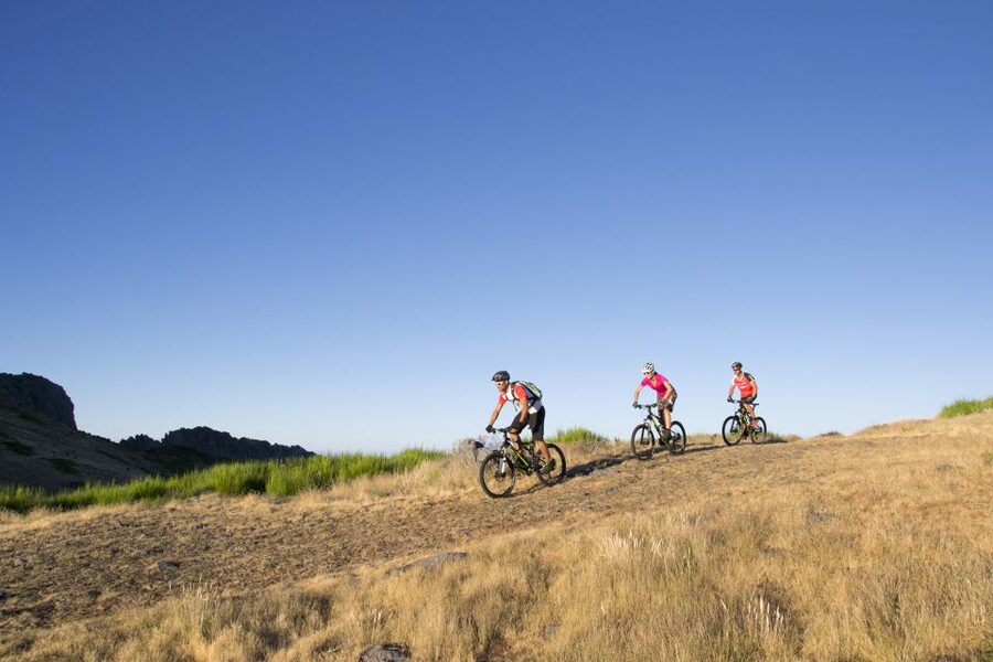 Madeira Botanical Levels Bike Tour – Scenic Trail Experience - From Poiso at 1,400 meters to the first trail