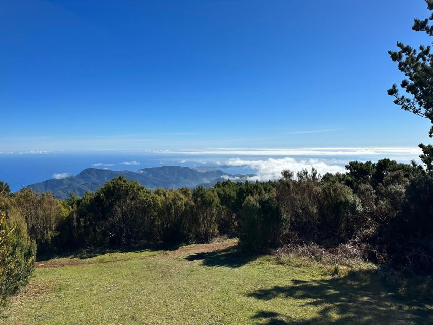 Madeira Botanical Levels Bike Tour – Scenic Trail Experience - How much value do you get for $94?