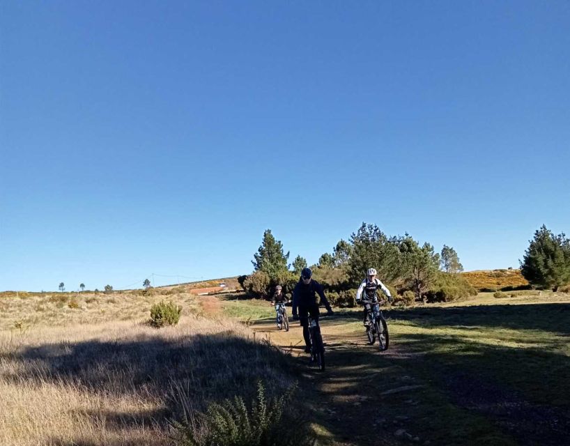Madeira Botanical Levels Bike Tour – Scenic Trail Experience - Practical details that affect your day