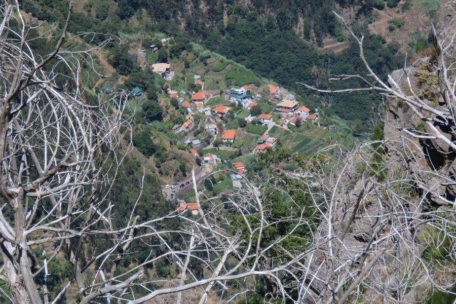 Madeira : Cabo Girao and Camara de Lobo 4WD half-day Tour - Guide quality and language choices