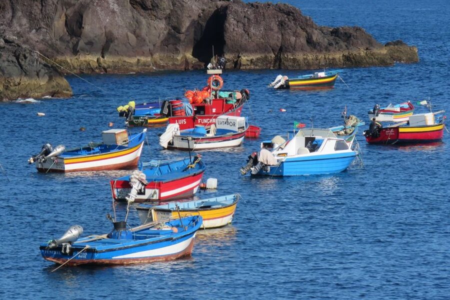 Madeira : Cabo Girao and Camara de Lobo 4WD half-day Tour - What to know before you reserve
