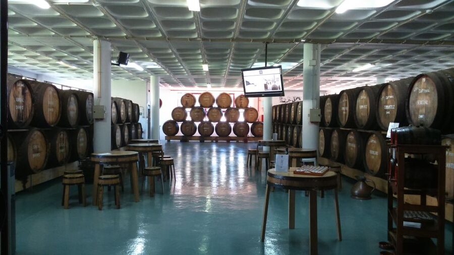 Madeira: Cabo Girao, Jeep Tour Adventure and Wine Tasting - Câmara de Lobos and the final taste of village life